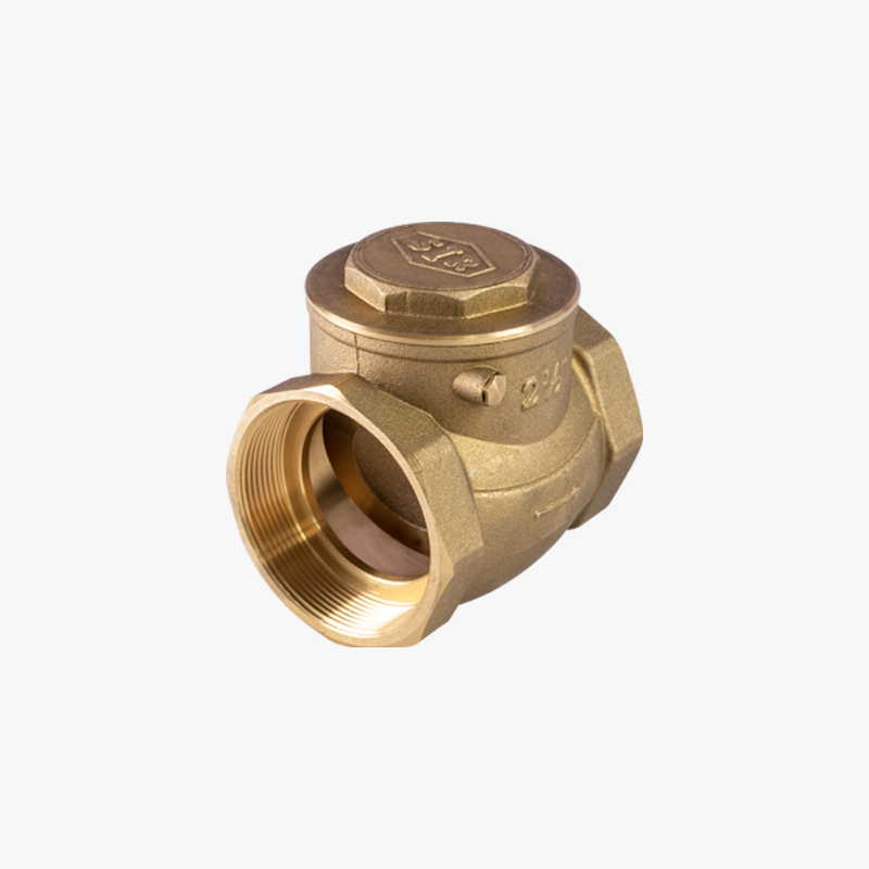 Válvula antirretorno