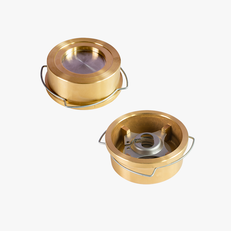 Válvula de retención